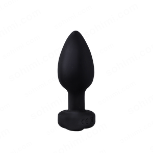 3 pcs anal vibrator