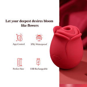 Red rose-shaped device with features listed on a white background