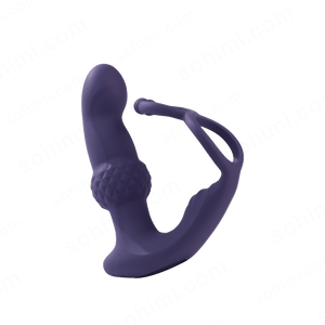 Remote Control Anal Toy
