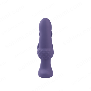 Remote Control Anal Toy