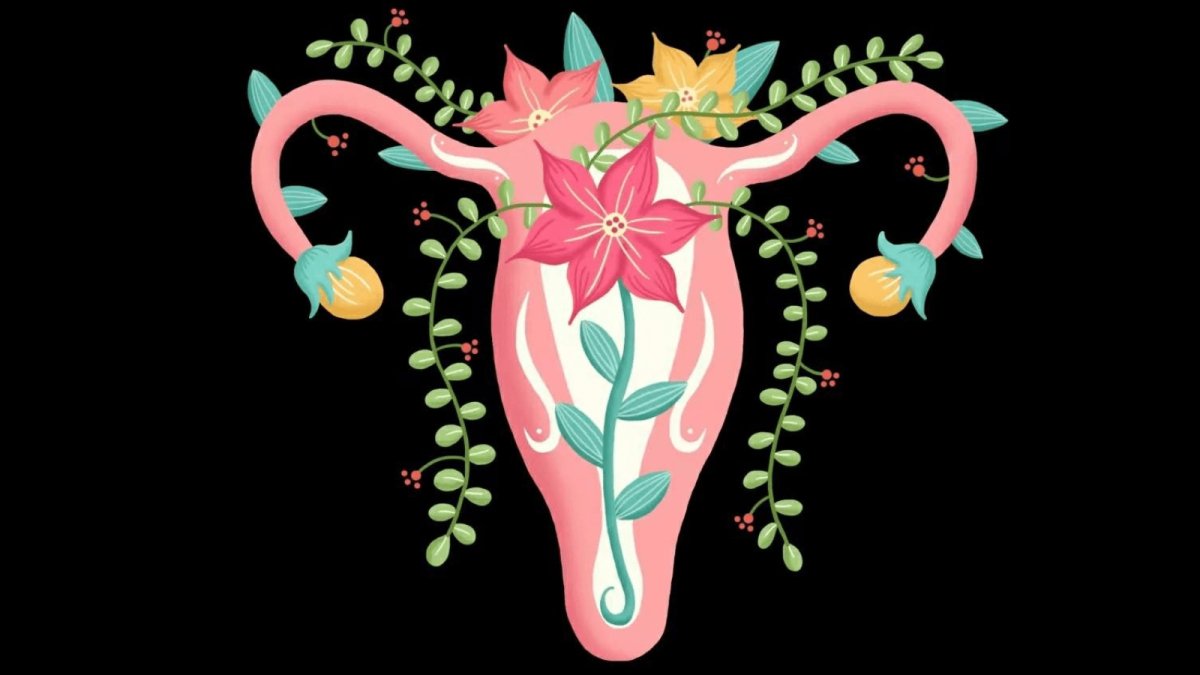 What will Happen to Vagina of Women After 30 Years Old? - Sohimi