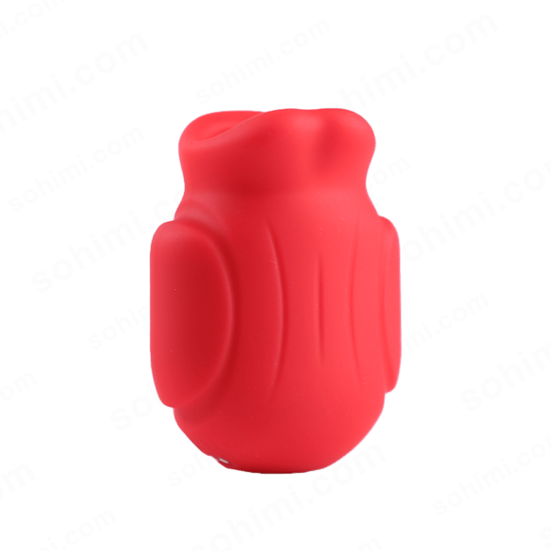 App Control 4 in 1 Big Mouth Oral Sex Penis Trainer