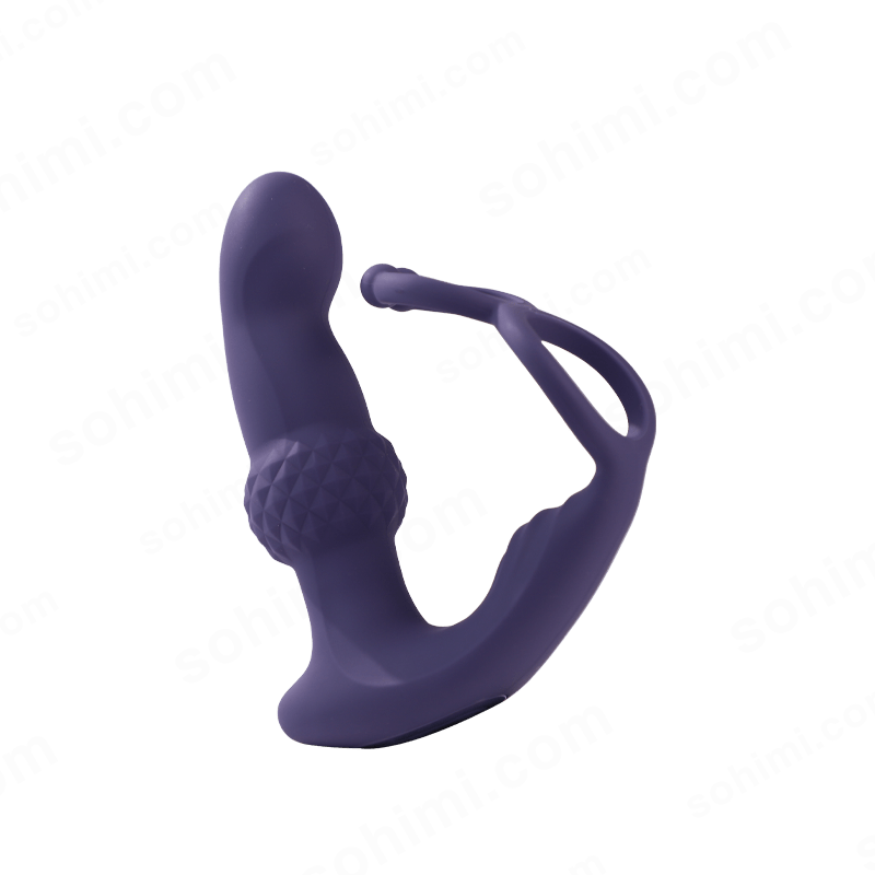 Remote Control Anal Toy