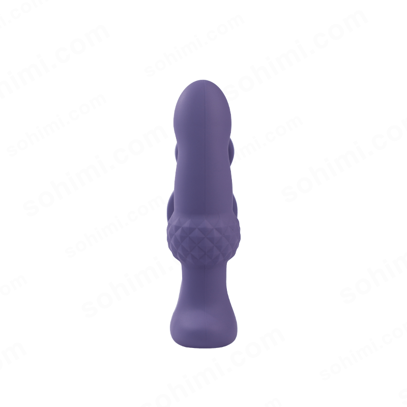 Remote Control Anal Toy