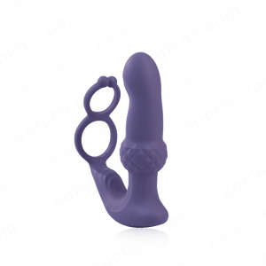 Remote Control Anal Toy