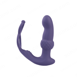 Remote Control Anal Toy