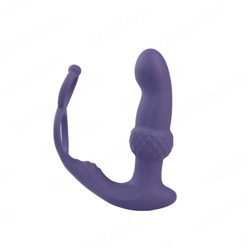 Remote Control Anal Toy