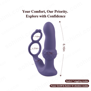 Remote Control Anal Toy